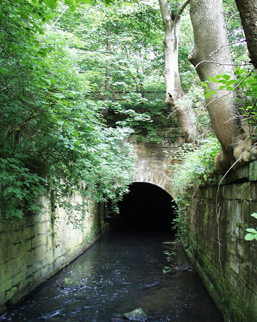 Causy_Culvert_River