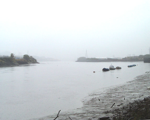 Swbr_River_East